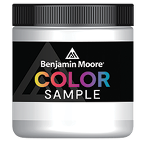 Ben Moore Color Sample